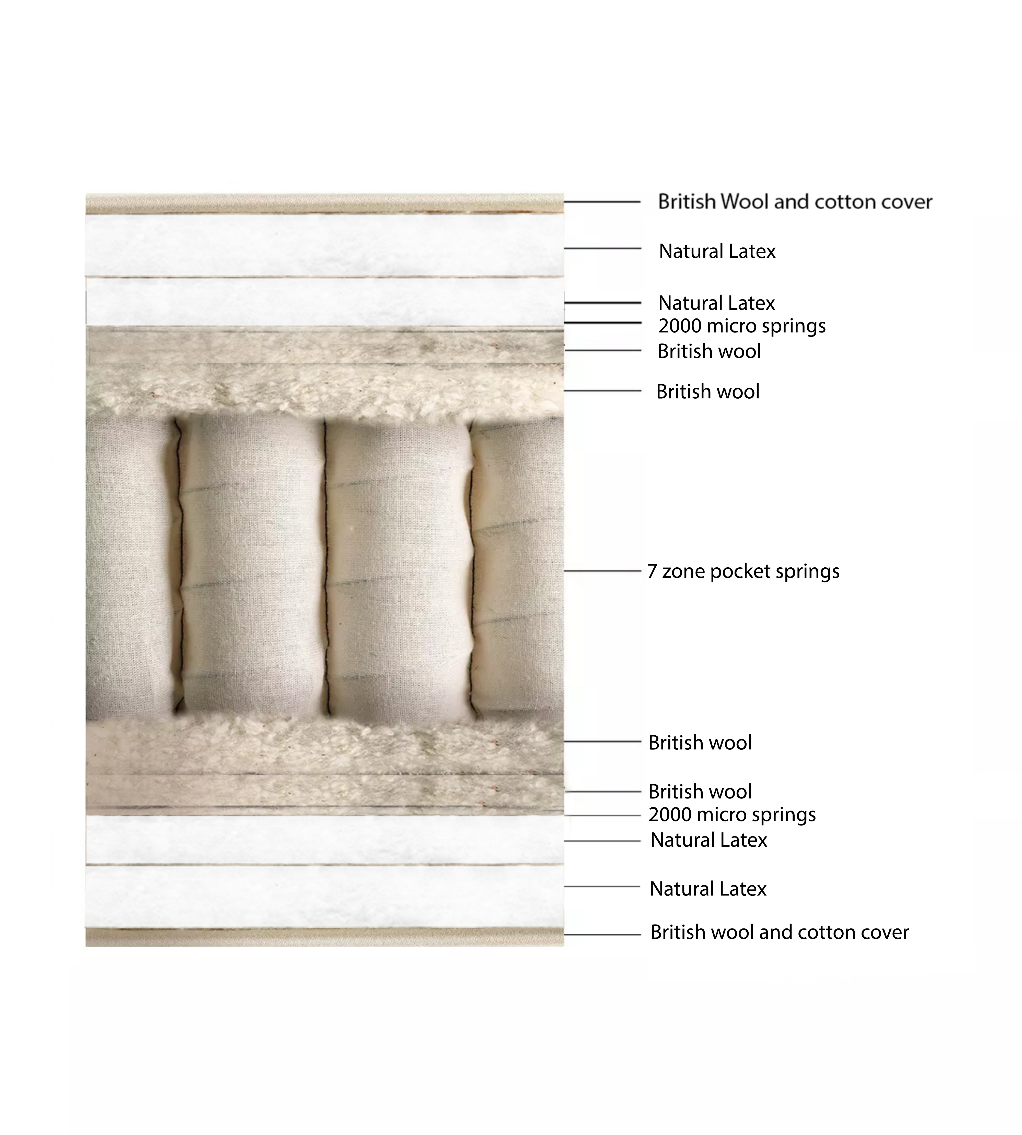 Latex 5000 cross section