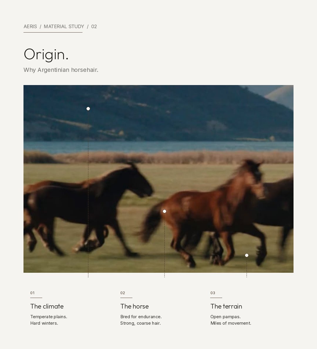 Aeris Material Study 02 — Origin. Why Argentinian horsehair.
